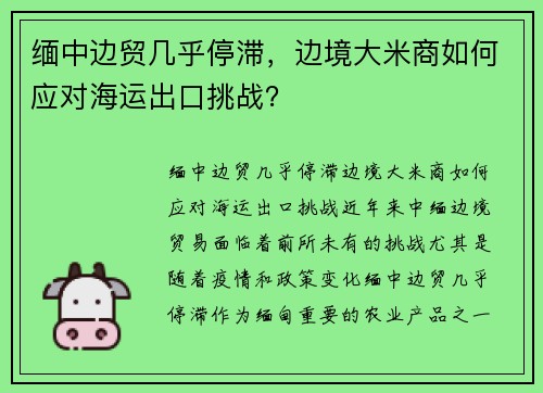 缅中边贸几乎停滞,边境大米商如何应对海运出口挑战? 缅中边贸几乎停滞,边境大米商如何应对海运出口挑战?