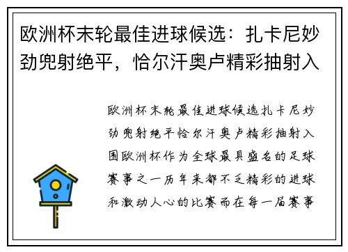 欧洲杯末轮最佳进球候选：扎卡尼妙劲兜射绝平，恰尔汗奥卢精彩抽射入围