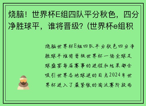 烧脑！世界杯E组四队平分秋色，四分净胜球平，谁将晋级？(世界杯e组积分)